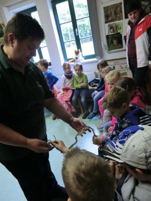 Foto des Albums: Die Abschlussrüste und  für unsere Vorschulkinder 2016