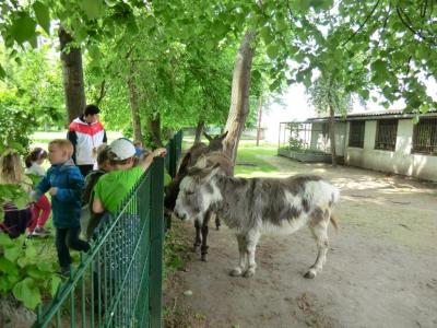 Foto des Albums: Die Abschlussrüste und  für unsere Vorschulkinder 2016