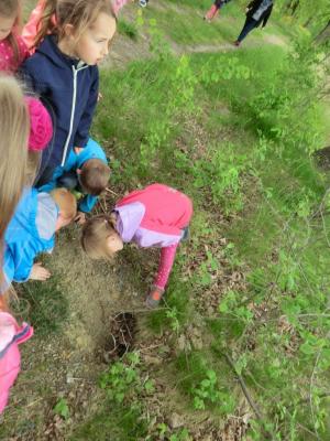 Foto des Albums: Die Abschlussrüste und  für unsere Vorschulkinder 2016