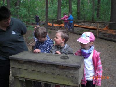 Foto des Albums: Die Abschlussrüste und  für unsere Vorschulkinder 2016