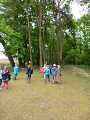 Foto des Albums: Die Abschlussrüste und  für unsere Vorschulkinder 2016