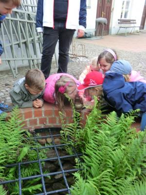 Foto des Albums: Die Abschlussrüste und  für unsere Vorschulkinder 2016