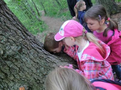 Foto des Albums: Die Abschlussrüste und  für unsere Vorschulkinder 2016