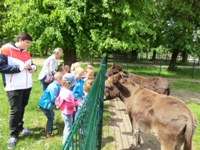 Foto des Albums: Die Abschlussrüste und  für unsere Vorschulkinder 2016