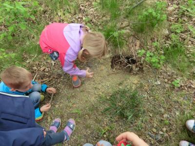 Foto des Albums: Die Abschlussrüste und  für unsere Vorschulkinder 2016