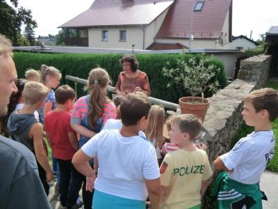 Foto des Albums: Ein Ausflug in den Bibelgarten 2016