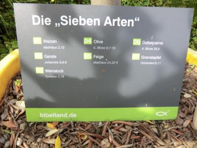 Foto des Albums: Ein Ausflug in den Bibelgarten 2016