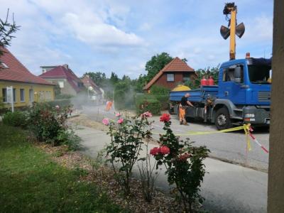 Foto des Albums: Unsere neue Straße 2016