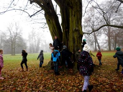 Foto des Albums: Weihnachtsbäume im Schloss schmücken (24.11.2016)