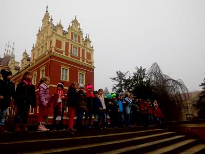 Foto des Albums: Weihnachtsbäume im Schloss schmücken (24.11.2016)