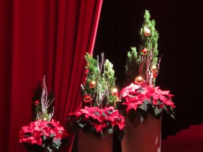 Foto des Albums: Weihnachtskonzert  mit dem Kammerorchester der Komischen Oper