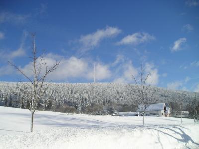 Foto des Albums: Winterimpressionen