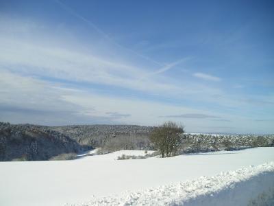 Foto des Albums: Winterimpressionen
