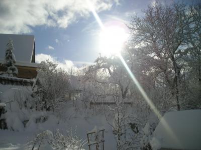 Foto des Albums: Winterimpressionen
