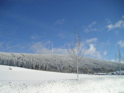 Foto des Albums: Winterimpressionen