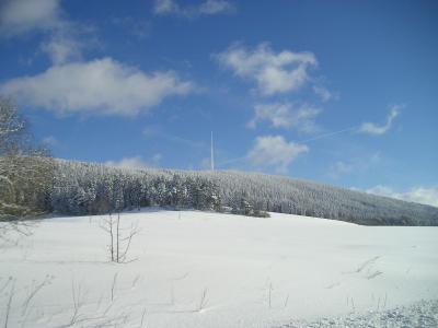Foto des Albums: Winterimpressionen