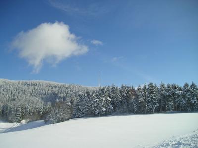 Foto des Albums: Winterimpressionen