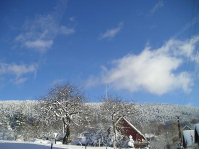 Foto des Albums: Winterimpressionen