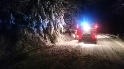 Foto des Albums: Einsatz Baum auf Straße Zur Feldhöhe