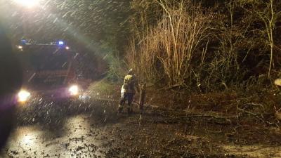 Foto des Albums: Unwettereinsatz - Holzweg
