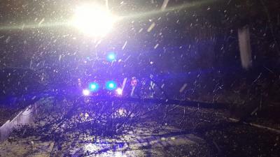 Foto des Albums: Unwettereinsatz - Holzweg