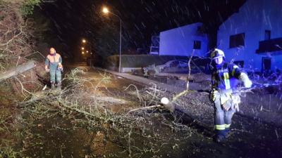 Foto des Albums: Unwettereinsatz - Holzweg