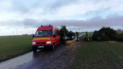 Foto des Albums: Weihnachtsbaumverbrennen der JF Seester (14.01.2017)