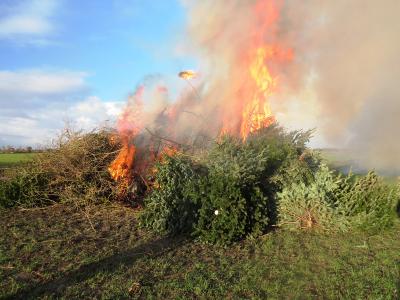 Foto des Albums: Weihnachtsbaumverbrennen der JF Seester (14.01.2017)