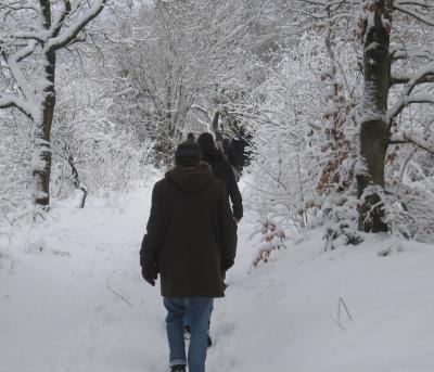 Foto des Albums: Winterwanderung mit Grünkohlessen 2017