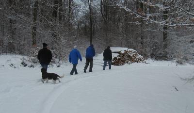Foto des Albums: Winterwanderung mit Grünkohlessen 2017