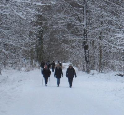 Foto des Albums: Winterwanderung mit Grünkohlessen 2017