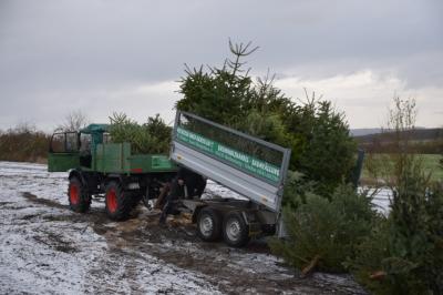 Foto des Albums: Weihnachtsbaumaktion 2017 (14. 01. 2017)