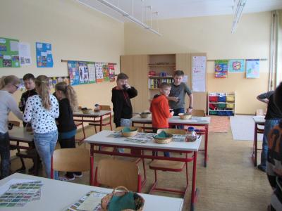 Foto des Albums: Schulgarten einmal anders