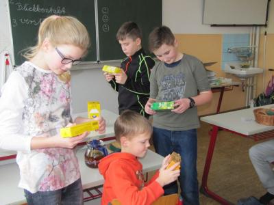Foto des Albums: Schulgarten einmal anders