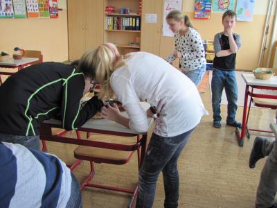 Foto des Albums: Schulgarten einmal anders