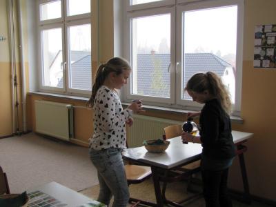 Foto des Albums: Schulgarten einmal anders