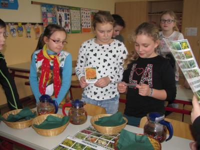 Foto des Albums: Schulgarten einmal anders