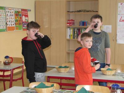 Foto des Albums: Schulgarten einmal anders