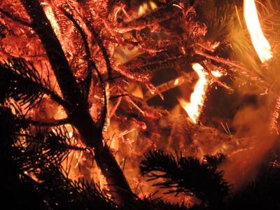 Foto des Albums: Weihnachtsbaumverbrennen in Beesdau