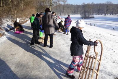 Foto des Albums: Rodeln auf der Gloriette (27.01.2017)