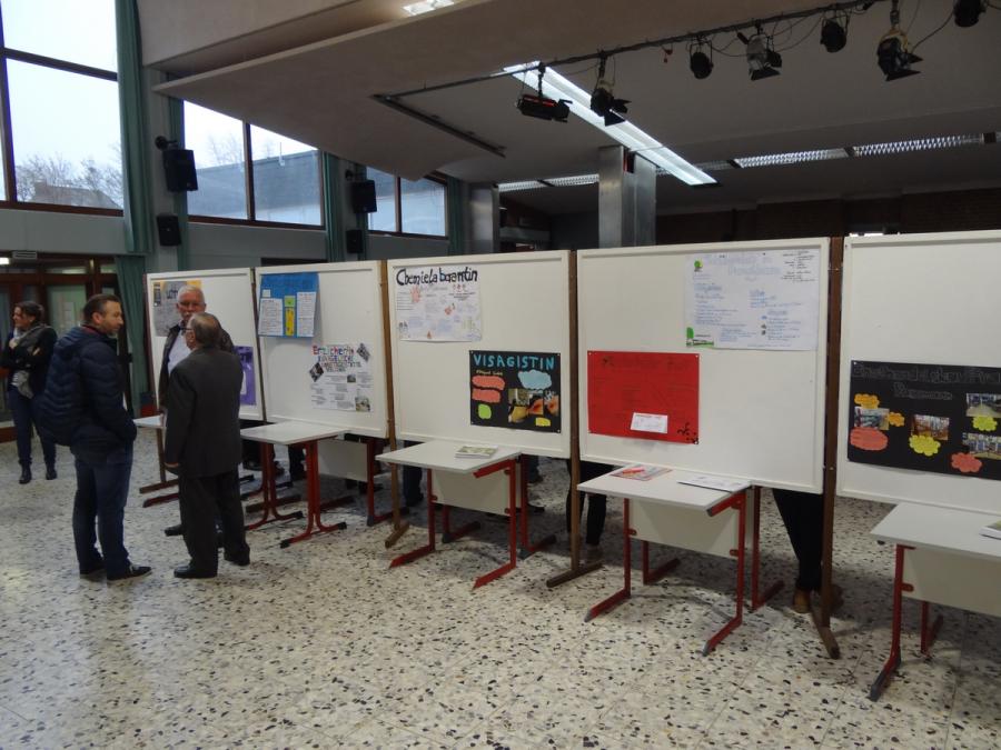 Bild der Galerie