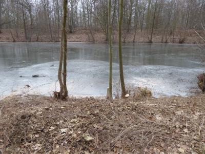 Foto des Albums: Zentraler Hegetag