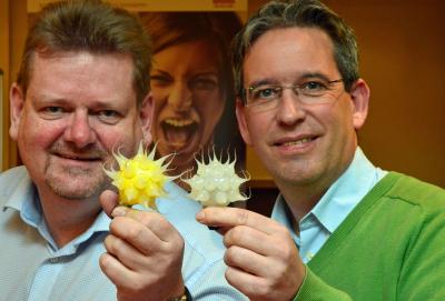 Foto des Albums: LED-Tauchtag 27.01.2017