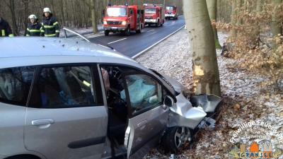 Foto des Albums: Einsatz 273-H-VU mit P-L 15 Neuglobsow-Fürstenberg
