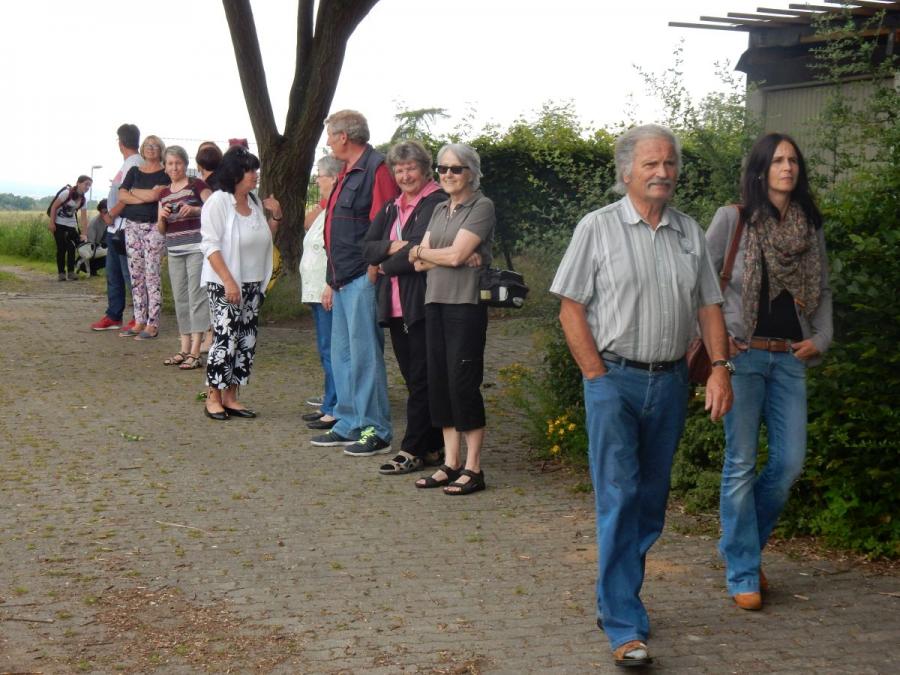 Bild der Galerie