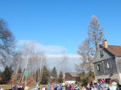 Foto des Albums: Fasching 2017