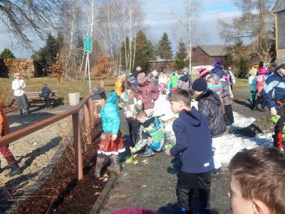 Foto des Albums: Fasching 2017