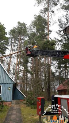 Einsatzkr&auml;fte mit DLK und elektr. Kettens&auml;ge im Einsatz 