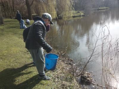 Foto des Albums: Elmshorn macht Putz! Fünftklässler sammeln Müll in den Steindammwiesen.