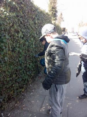 Foto des Albums: Elmshorn macht Putz! Fünftklässler sammeln Müll in den Steindammwiesen.